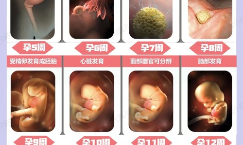 最简单的肉馅吃法-纯肉馅饺子馅怎么调才香、纯肉馅饺子馅怎么调才香 -纯肉馅的吃法网