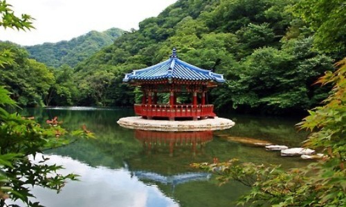 纯肉馅的吃法有哪些-纯肉馅饺子馅怎么调才香、纯肉馅饺子馅怎么调才香 -纯肉馅的吃法网